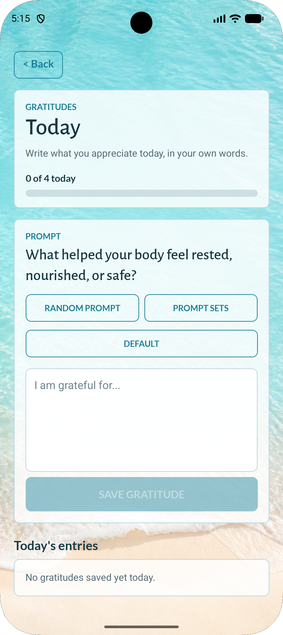 Gratitude journal writing screen