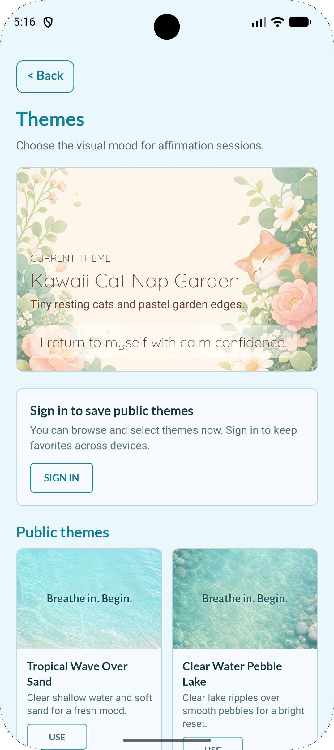 Theme selection screen